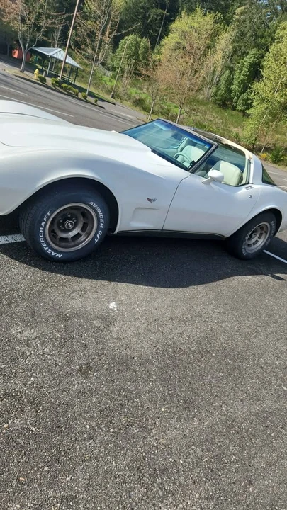 1979 Chevrolet Corvette C3 - Image 3 of 9