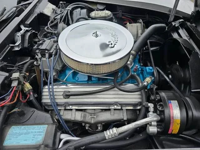 1979 Chevrolet Corvette C3 - Image 10 of 15