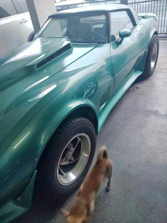 1979 Chevrolet Corvette C3 - Image 1 of 7