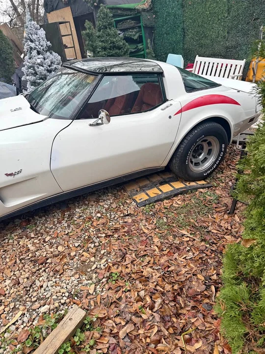 1979 Chevrolet Corvette C3 - Image 1 of 10