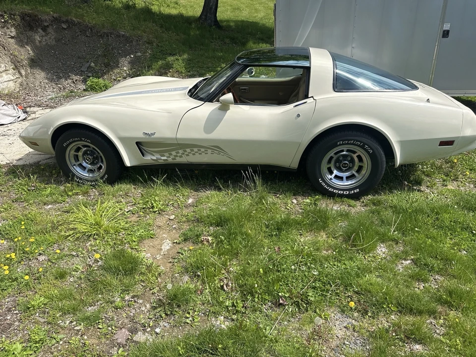 1979 Chevrolet Corvette C3 - Image 6 of 16