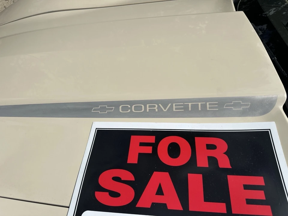 1979 Chevrolet Corvette C3 - Image 16 of 16