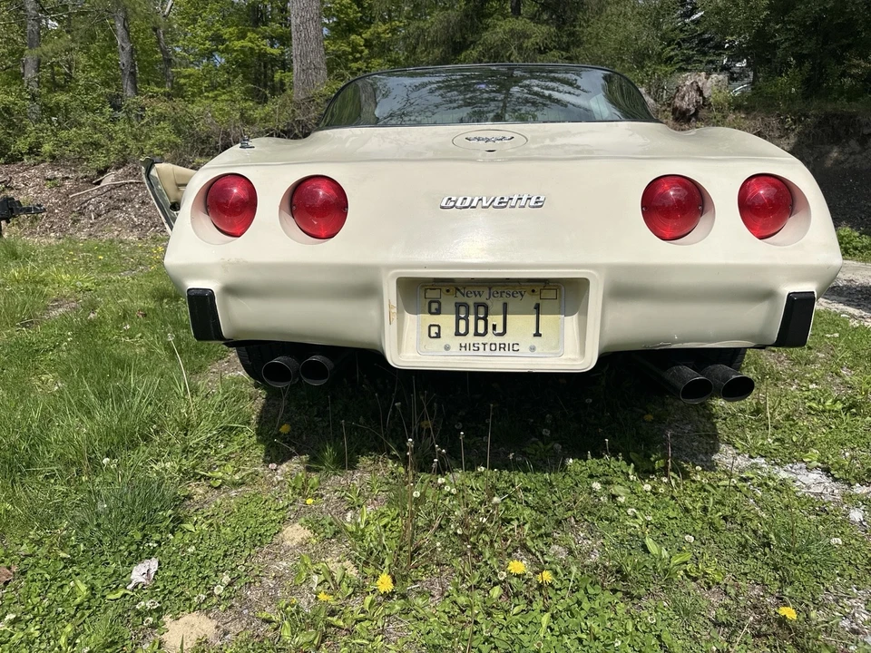 1979 Chevrolet Corvette C3 - Image 5 of 16