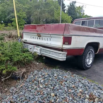 1979 Chevrolet G-Series G10