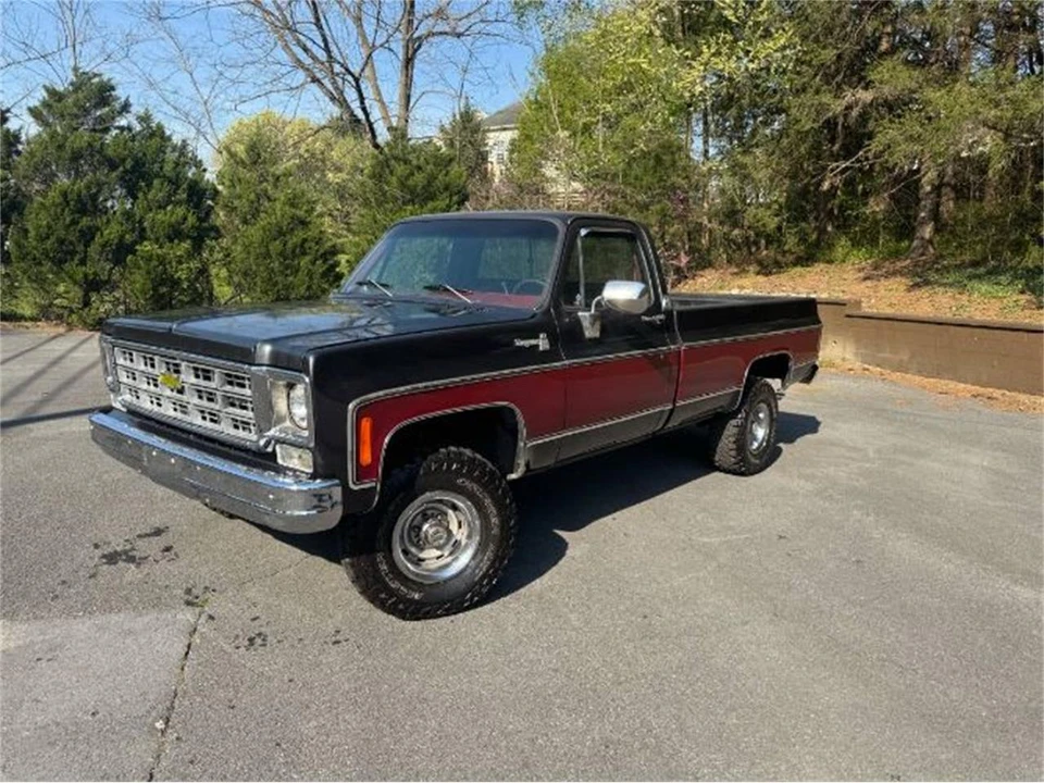 1979 Chevrolet C/K 3rd Gen - Image 9 of 12