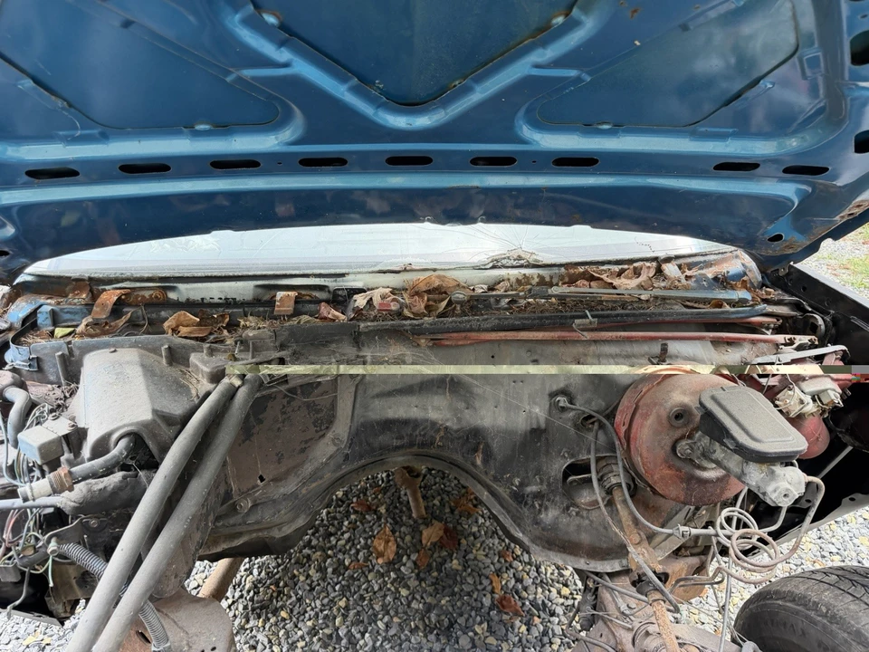 1979 Chevrolet Malibu - Image 12 of 16