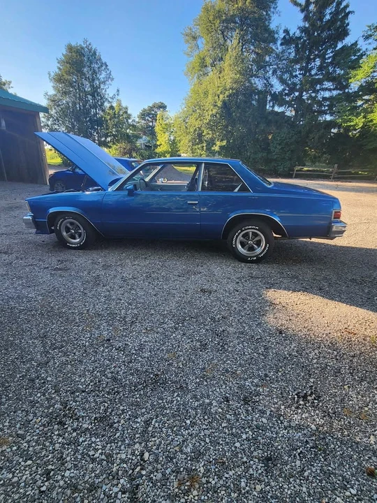 1979 Chevrolet Malibu - Image 3 of 15