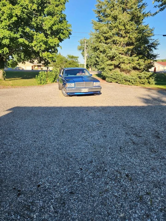 1979 Chevrolet Malibu - Image 2 of 15