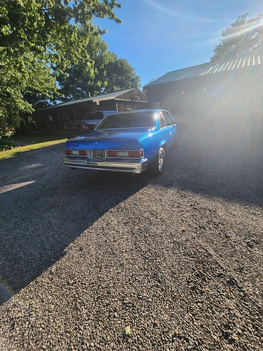 1979 Chevrolet Malibu - Image 9 of 15