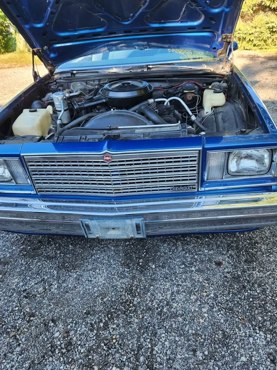 1979 Chevrolet Malibu - Image 5 of 15