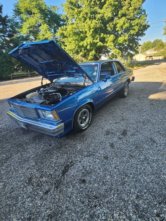 1979 Chevrolet Malibu - Image 4 of 15