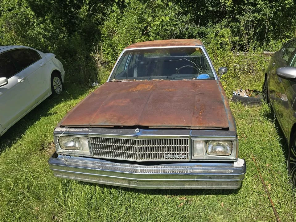1979 Chevrolet Malibu - Image 3 of 7