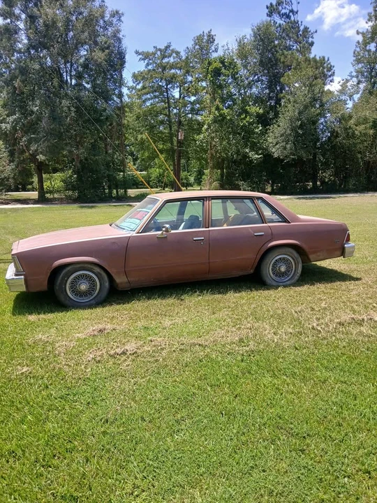 1979 Chevrolet Malibu - Image 6 of 6