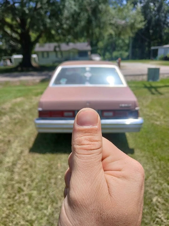1979 Chevrolet Malibu - Image 4 of 6