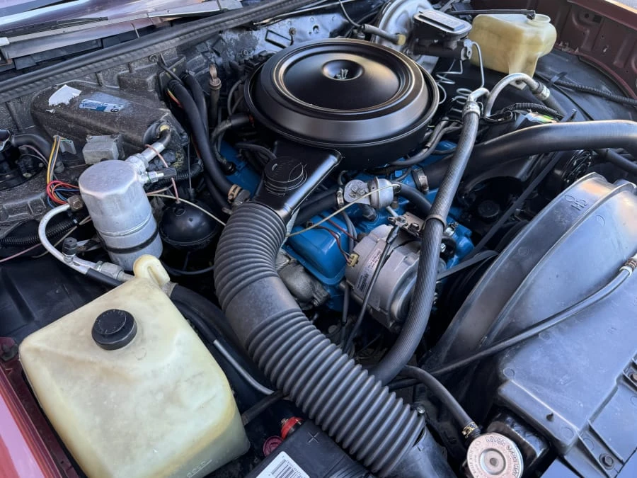 1979 Chevrolet Malibu - Image 8 of 9