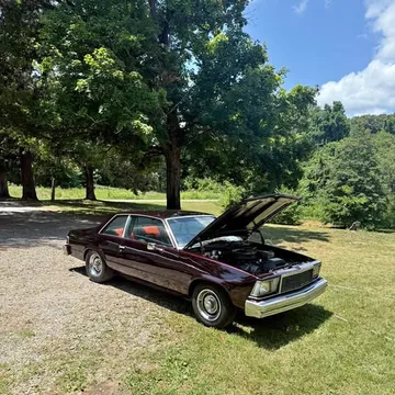 1979 Chevrolet Malibu Classic