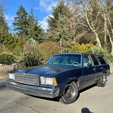 1979 Chevrolet Malibu Classic Wagon
