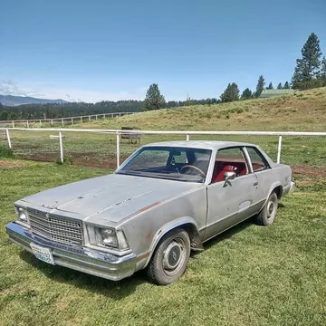 1979 Chevrolet Malibu Coupe