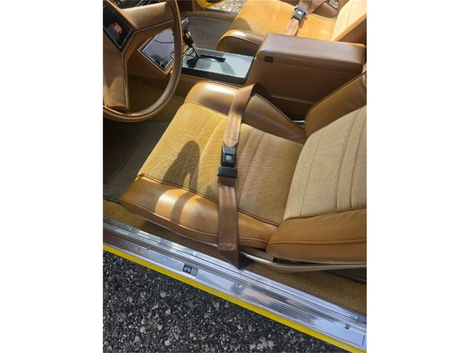 1979 Chevrolet Malibu - Image 28 of 30