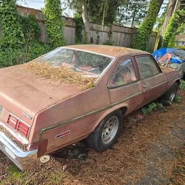 1979 Chevrolet Nova