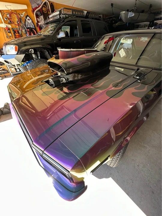 1979 Chevrolet Nova 4th Gen - Image 8 of 10