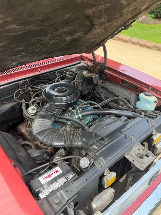 1979 Chevrolet Nova 4th Gen - Image 5 of 16