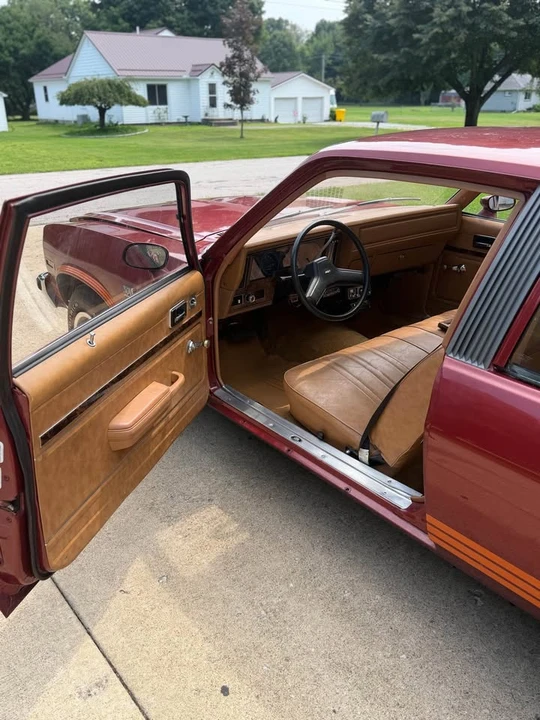 1979 Chevrolet Nova 4th Gen - Image 14 of 16