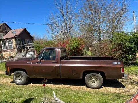 1979 Chevrolet Scottsdale Camper Special