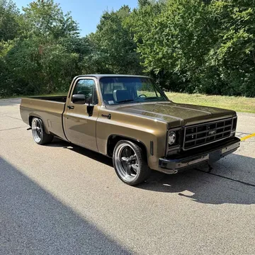 1979 Chevrolet Silverado (Classic) 1500 Regular Cab C10 Bonanza