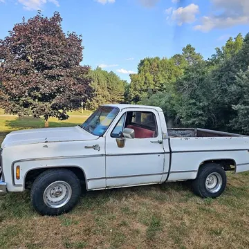 1979 Chevrolet Silverado 1500 Regular Cab LS Pickup