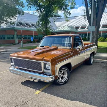 1979 Chevrolet Silverado