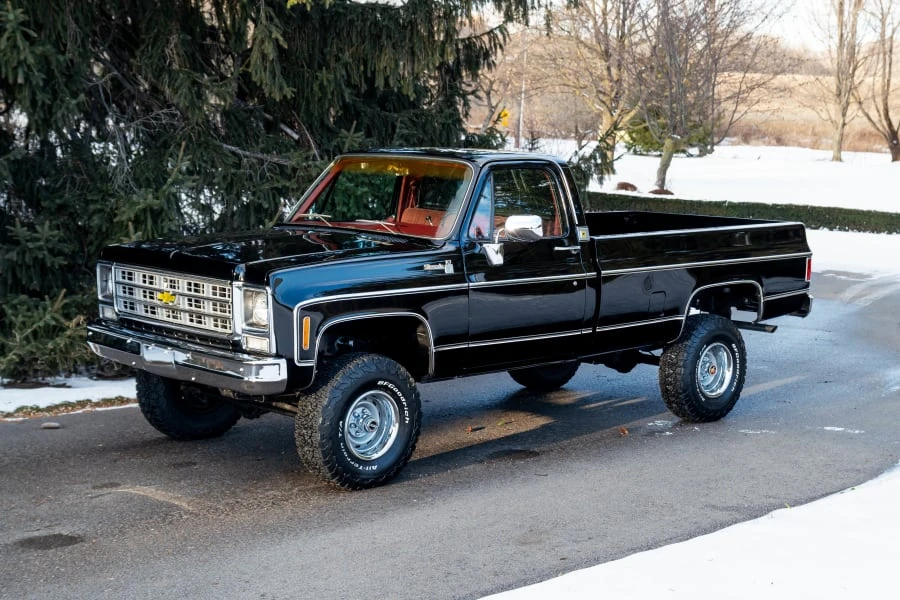 1979 Chevrolet Silverado - Image 6 of 31