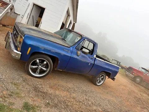 1979 Chevrolet C10 Scottsdale