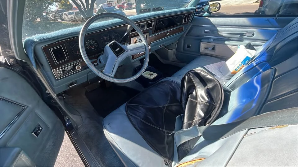 1979 Chevrolet Caprice - Image 16 of 16