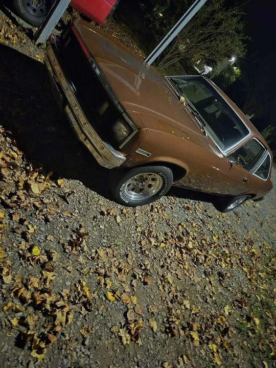 1979 Chevrolet Nova 4th Gen - Image 4 of 5