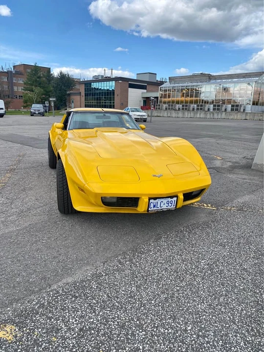 1979 Chevrolet Corvette C3 - Image 1 of 4