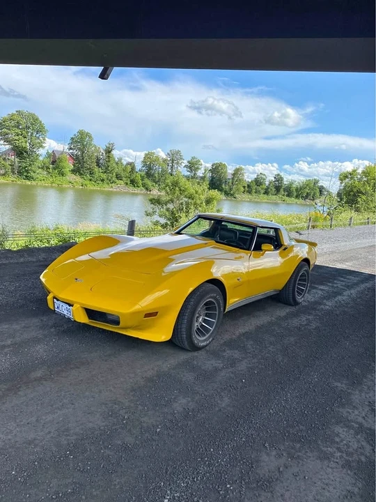 1979 Chevrolet Corvette C3 - Image 1 of 6