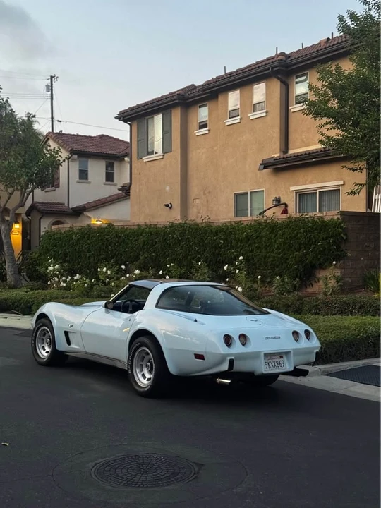 1979 Chevrolet Corvette C3 - Image 3 of 5