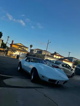 1979 Chevrolet Corvette