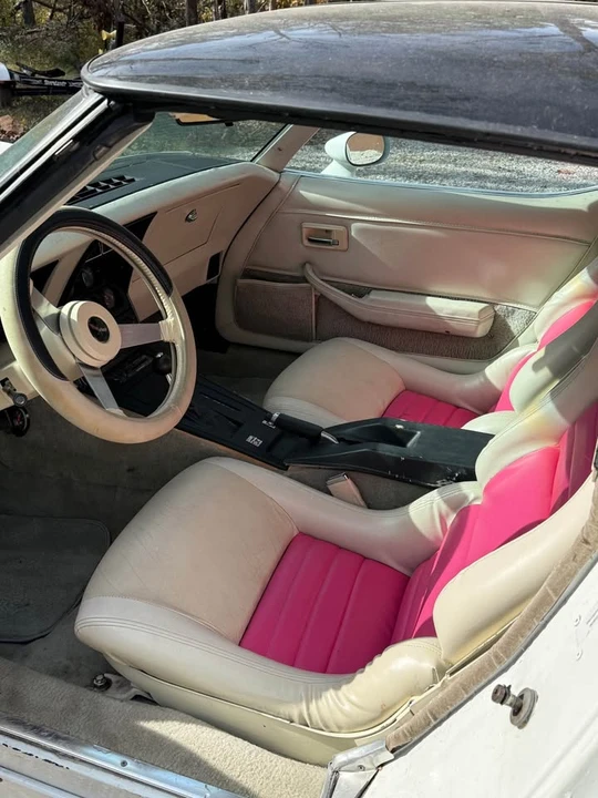 1979 Chevrolet Corvette C3 - Image 4 of 5