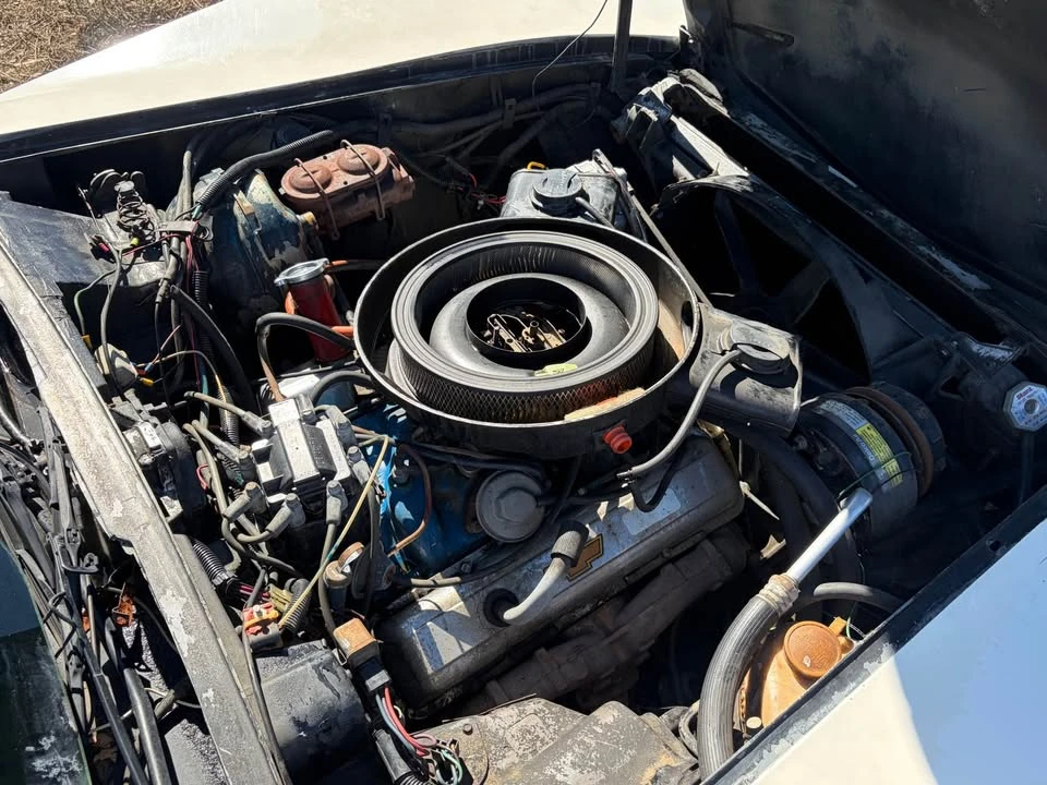 1979 Chevrolet Corvette C3 - Image 14 of 18