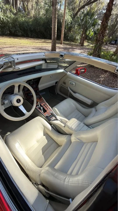 1979 Chevrolet Corvette C3 - Image 9 of 14