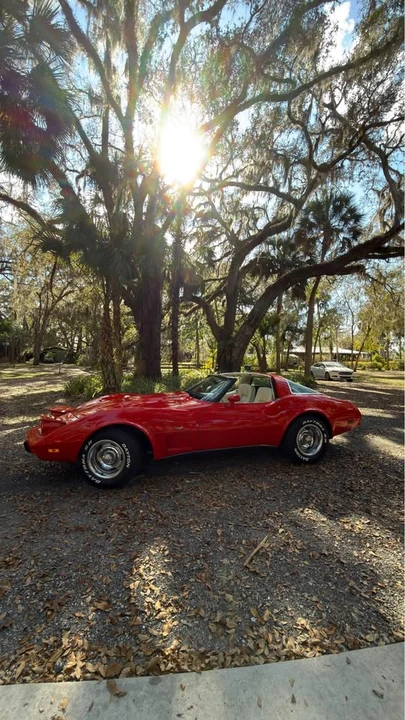 1979 Chevrolet Corvette C3 - Image 4 of 14