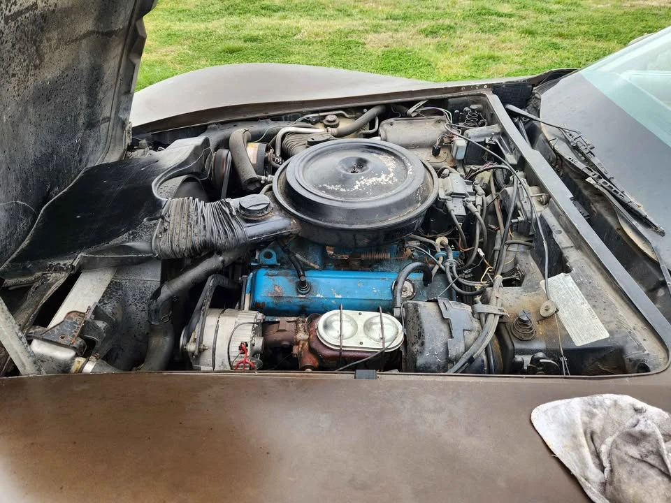1979 Chevrolet Corvette C3 - Image 5 of 10