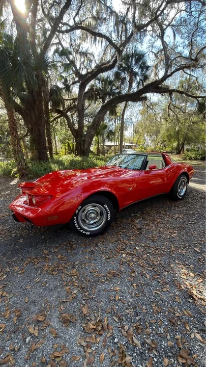 1979 Chevrolet Corvette C3 - Image 5 of 14