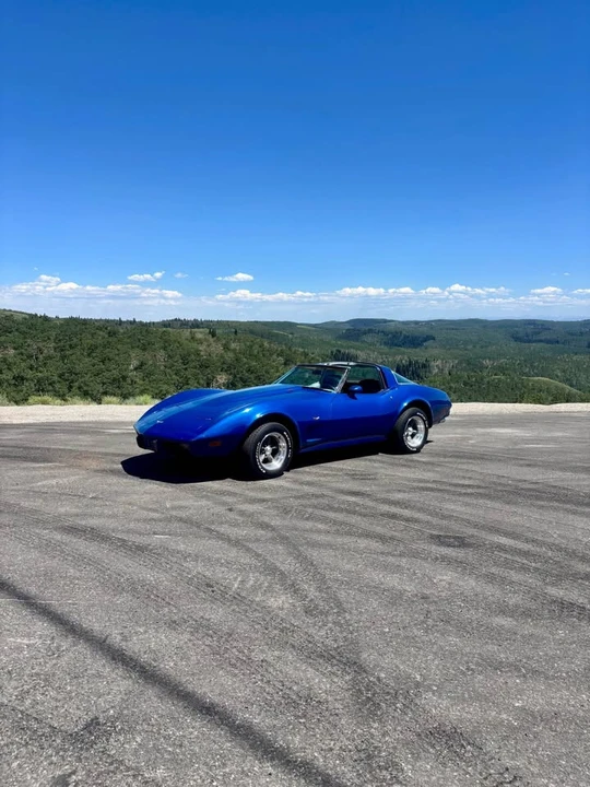 1979 Chevrolet Corvette C3 - Image 2 of 10