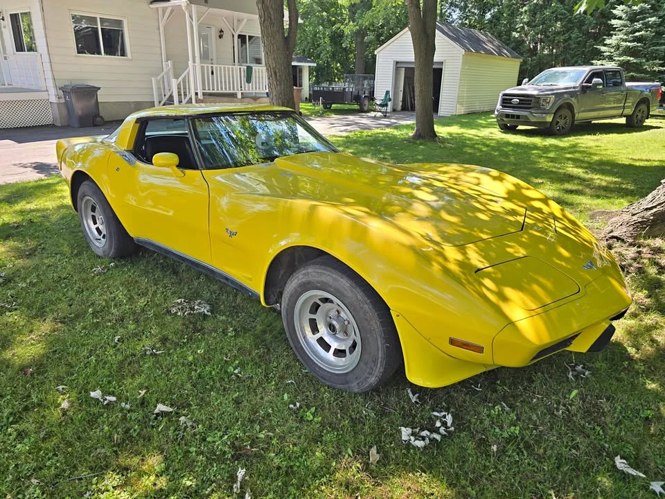 1979 Chevrolet Corvette C3 - Image 1 of 8