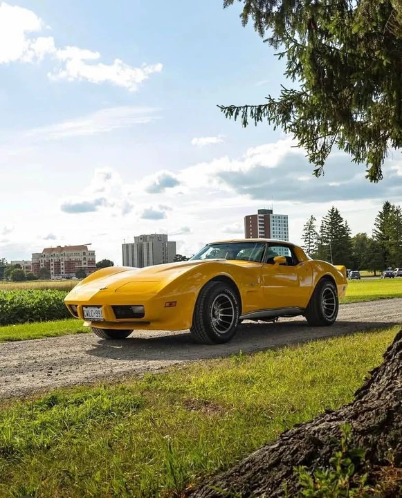 1979 Chevrolet Corvette C3 - Image 1 of 6