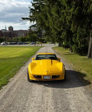 1979 Chevrolet Corvette C3 - Image 2 of 6