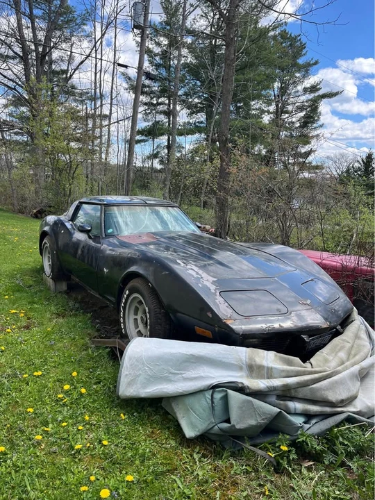 1979 Chevrolet Corvette C3 - Image 5 of 5